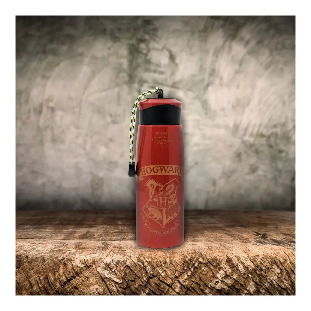Harry Potter Trinkflasche Hogwarts