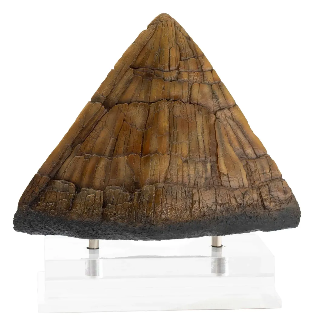 Jurassic Park Statue Triceratops Spike Prop (Reproduction) 19 cm 