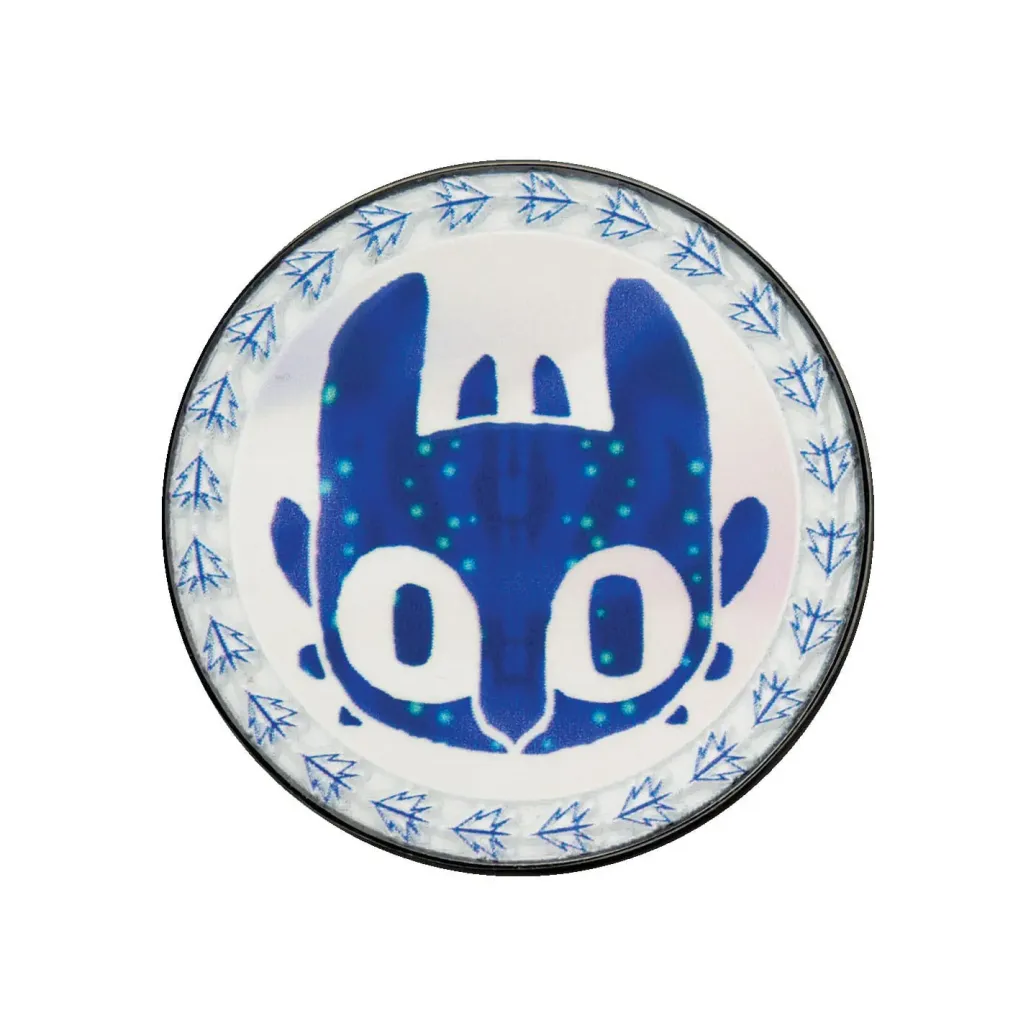 Drachenzähmen leicht gemacht Sammelmünze Limited Edition