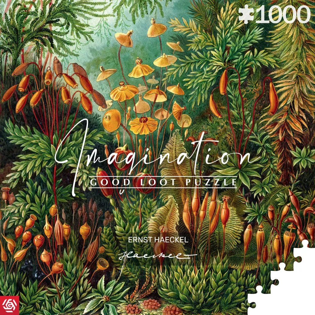 Ernst Haeckel Imagination Puzzle Muscinae (1000 Teile)
