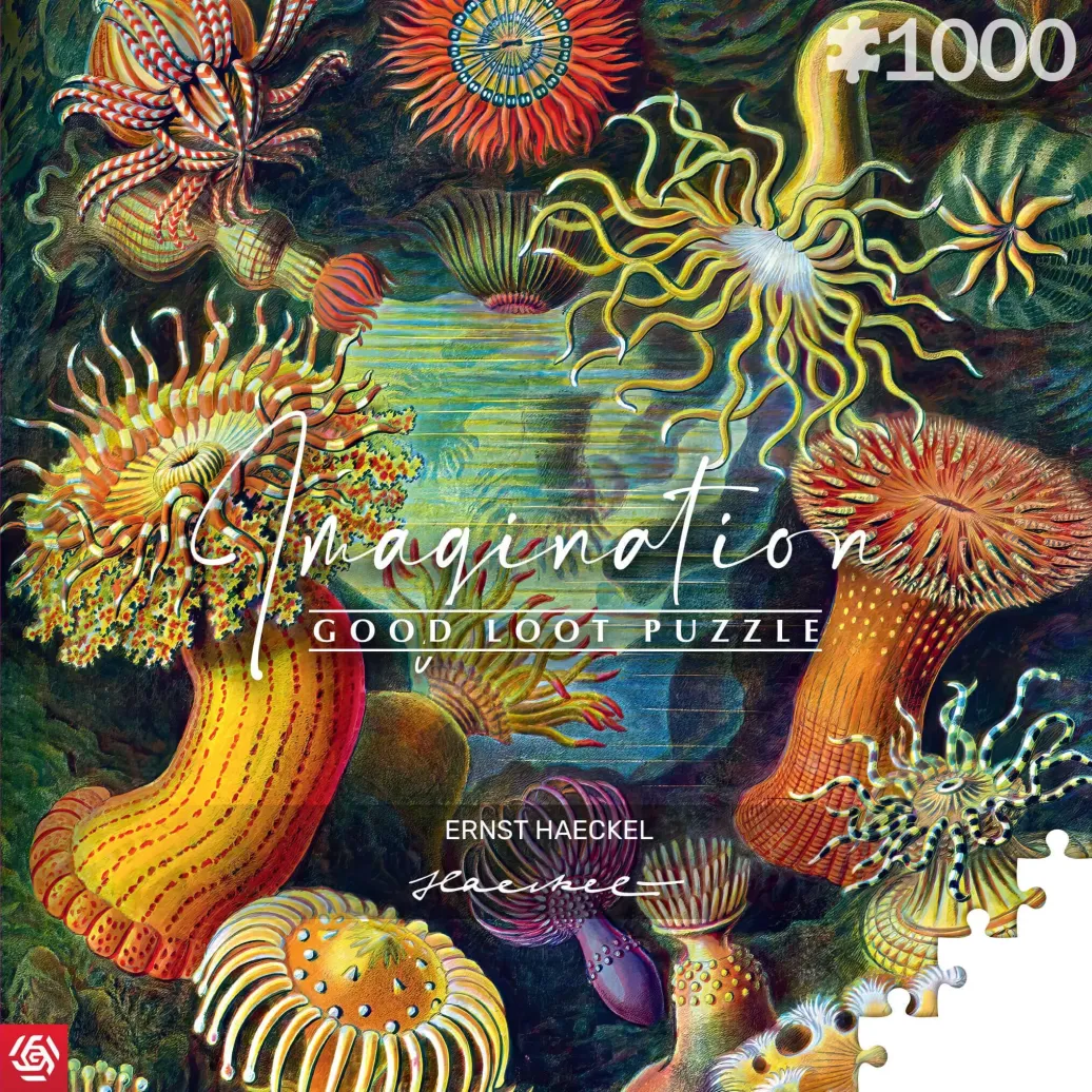 Ernst Haeckel Imagination Puzzle Sea Anemones/Stworzenia morskie (1000 Teile)