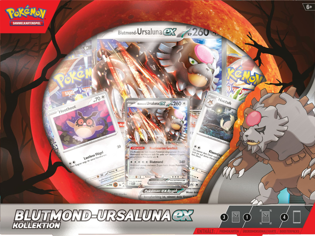 Pokemon TCG EX Box November 2024 *Deutsche Version*