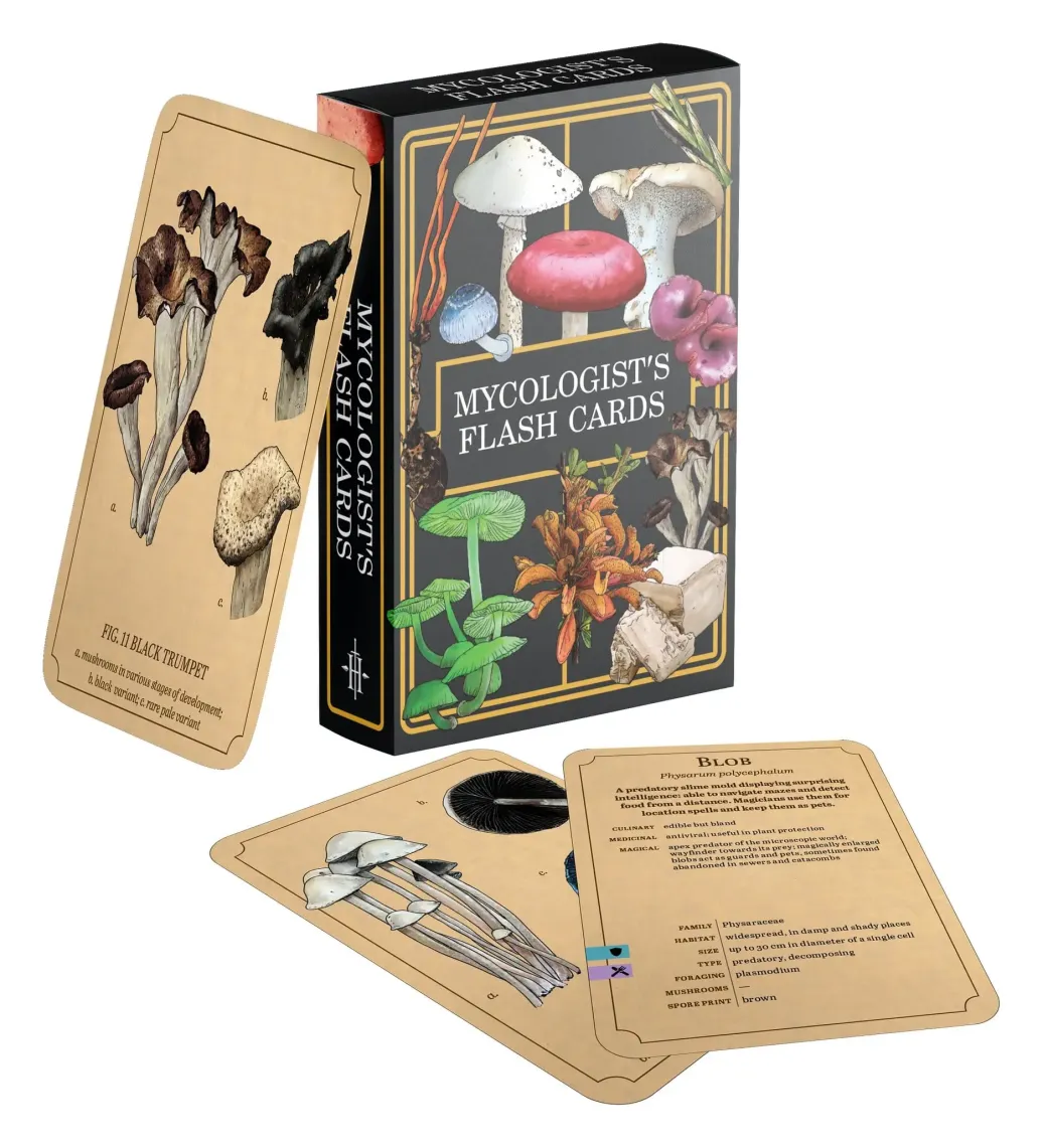 Renegade Originals: Mycologist's Primer Lernkarten *Englische Version*