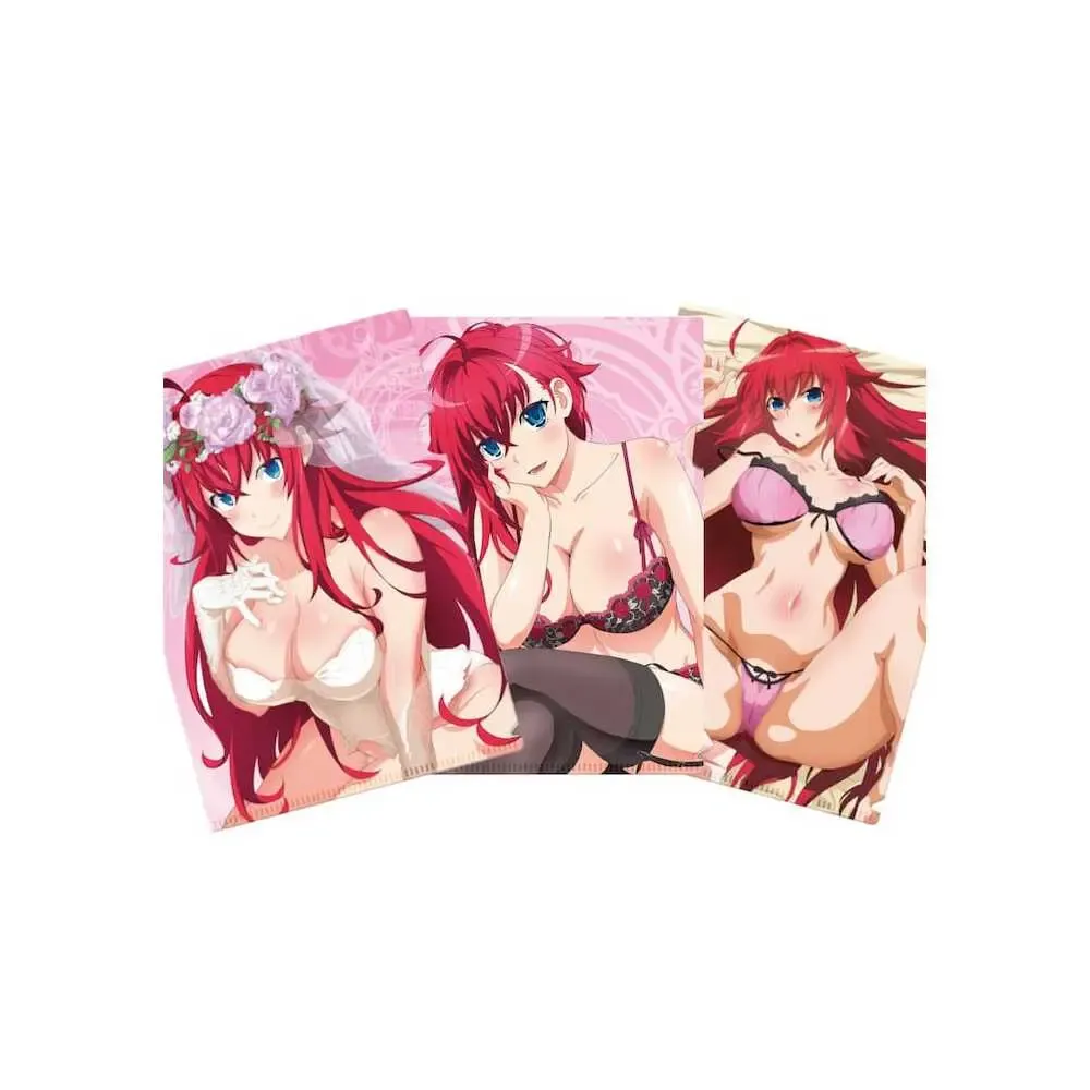 Highschool DxD Dokumentenhüllen Set