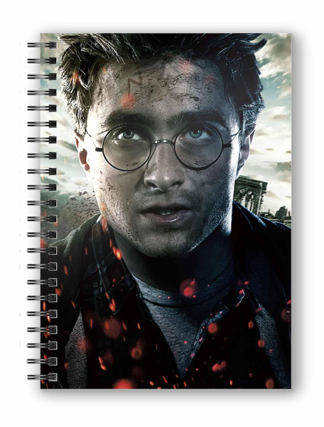 Harry Potter Notizbuch mit 3D-Effekt Harry Potter Face