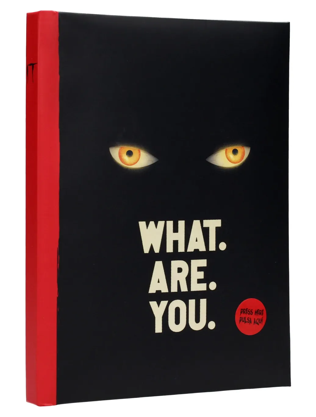 Es Notizbuch mit Leuchtfunktion What are you 