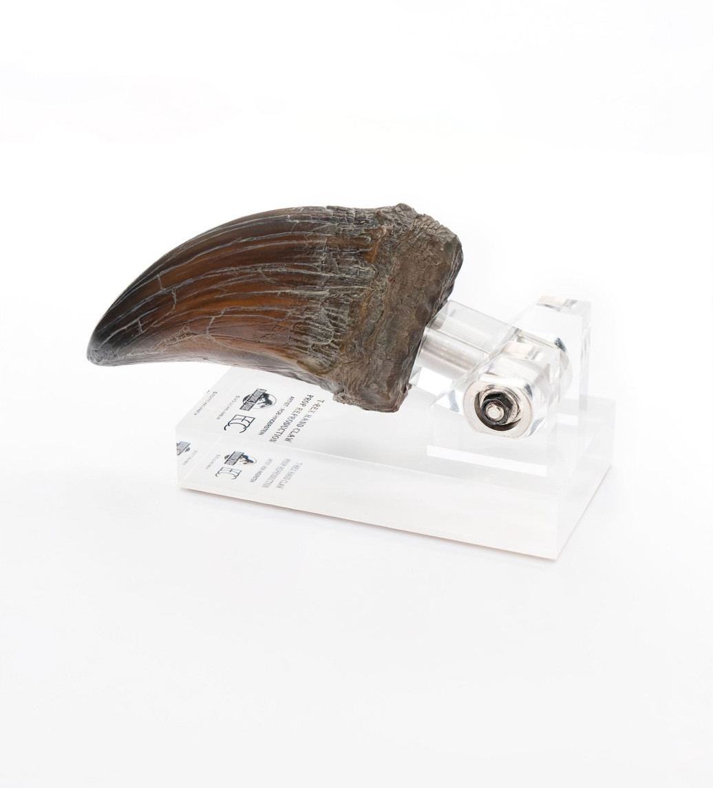 Jurassic Park Statue T-Rex Hand Claw 13 cm