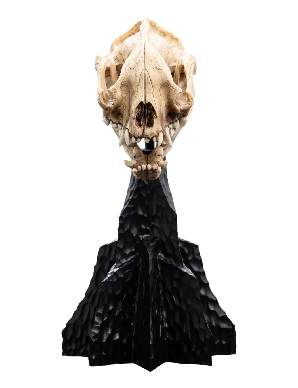 Herr der Ringe Mini Statue Skull of a Warg 20 cm