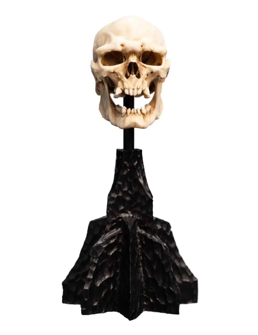 Herr der Ringe Mini Statue Skull of a Mordor Orc 14 cm