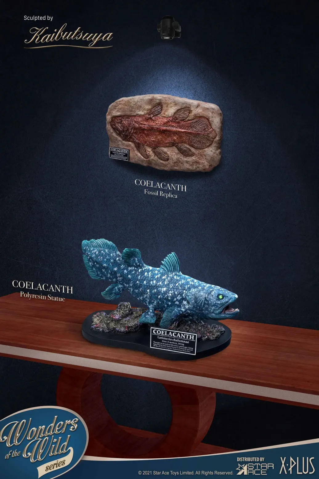 Wonders of the Wild Statue Coelacanth Deluxe Version 28 cm