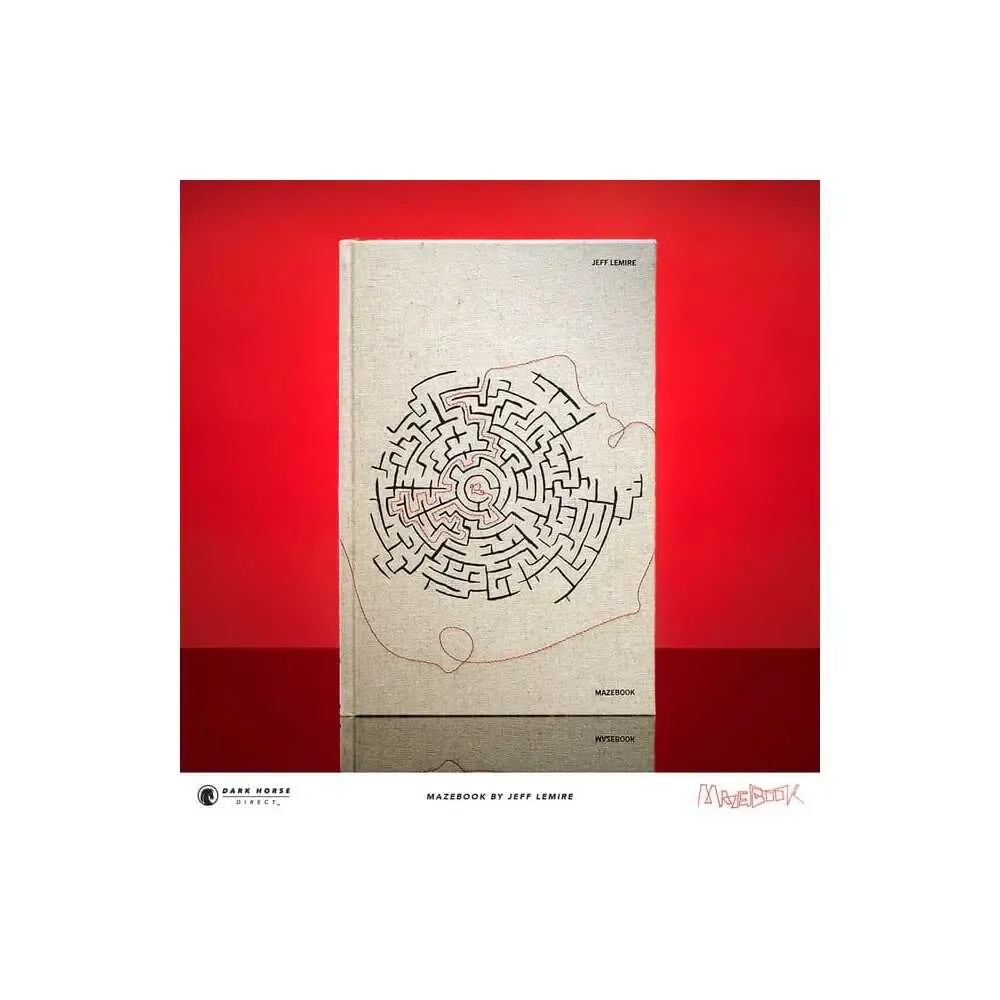 Buch Mazebook englisch