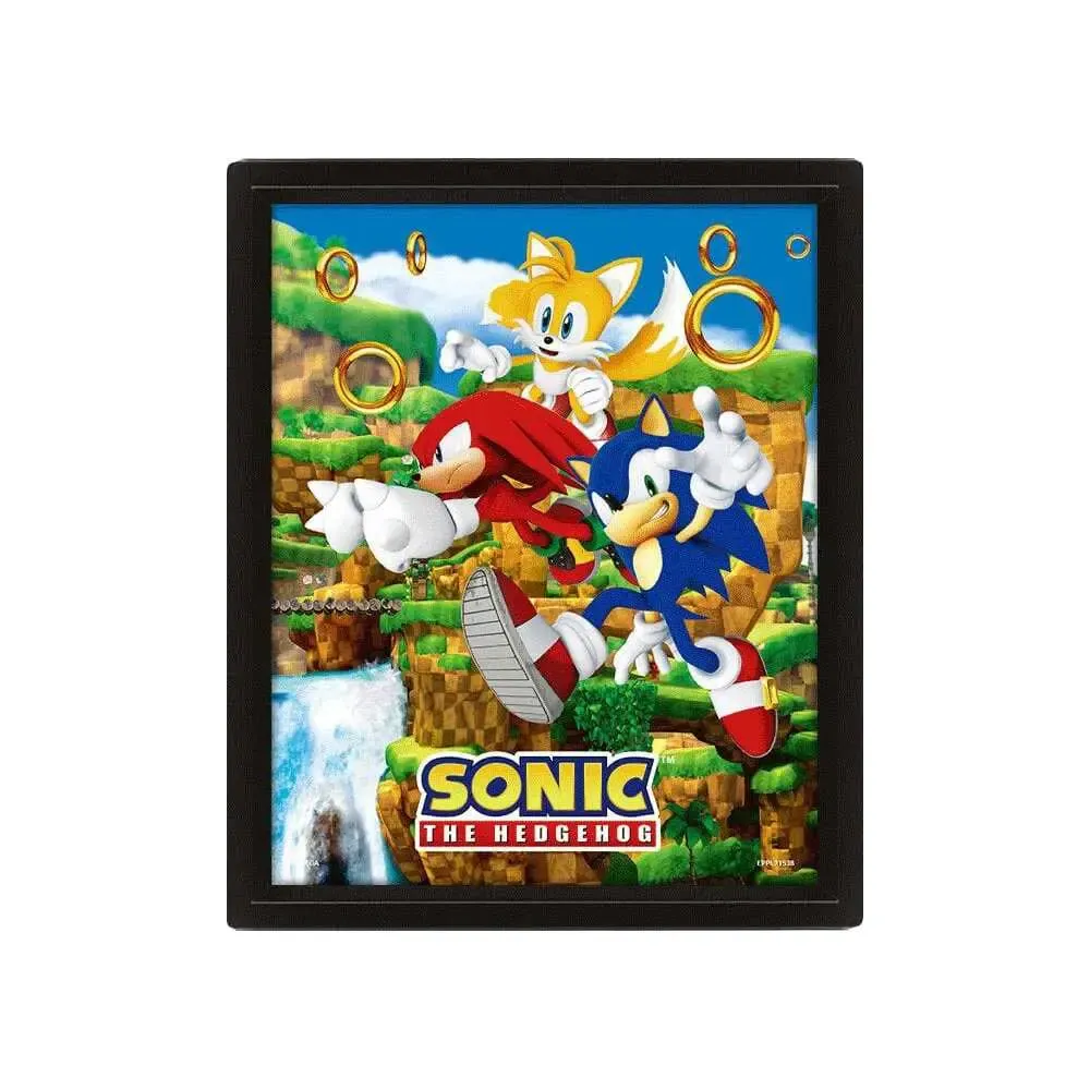 Sonic The Hedgehog 3D-Effekt Poster Catching Rings 26 x 20 cm