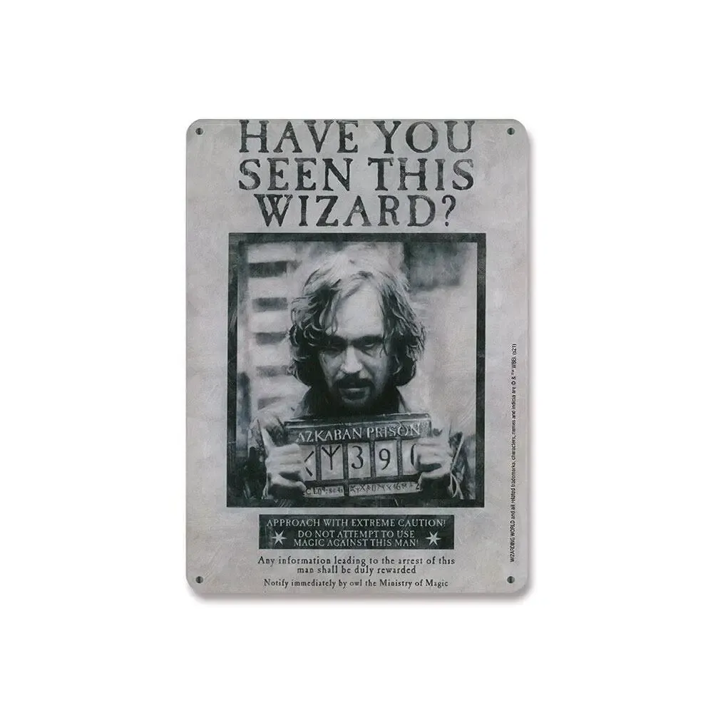 Harry Potter Blechschild Have You Seen This Wizard 15 x 21 cm