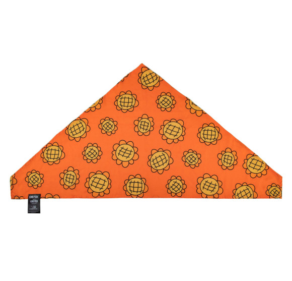One Piece Bandana & Berry Coins Set Nami