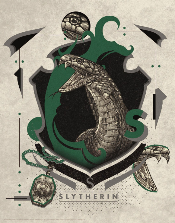 Harry Potter Kunstdruck Slytherin 36 x 28 cm