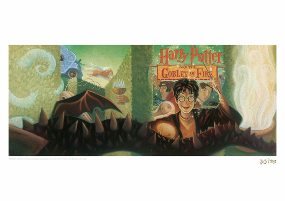 Harry Potter Kunstdruck Goblet of Fire Book Cover Artwork Limited Edition 42 x 30 cm