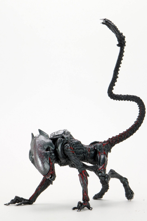 Aliens Actionfigur Night Cougar Alien (Kenner Tribute) 23 cm