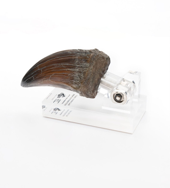 Jurassic Park Statue T-Rex Hand Claw 13 cm