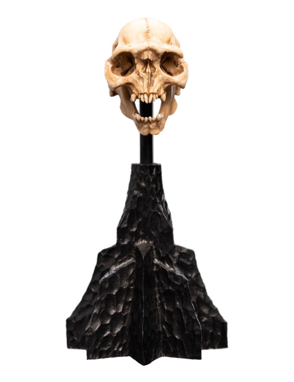Herr der Ringe Mini Statue Skull of a Moria Orc 13 cm