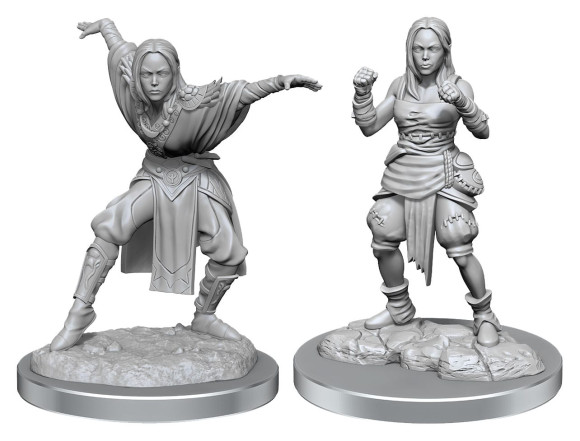 Pathfinder Battles Deep Cuts Miniaturen unbemalt 2er-Packs Half-Elf Monk Female Umkarton (2)
