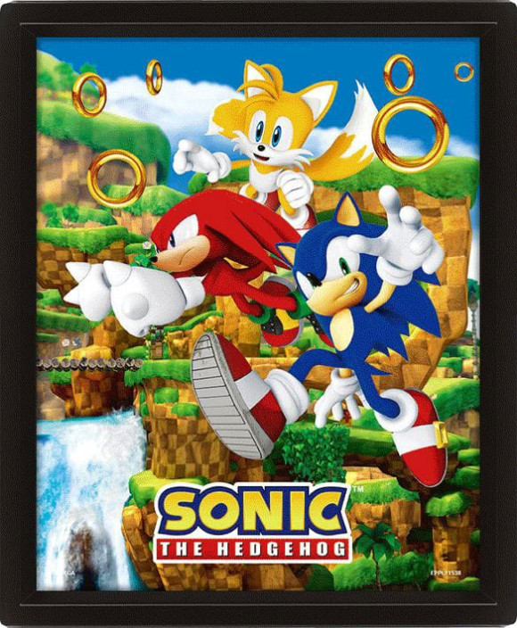 Sonic The Hedgehog 3D-Effekt Poster Catching Rings 26 x 20 cm