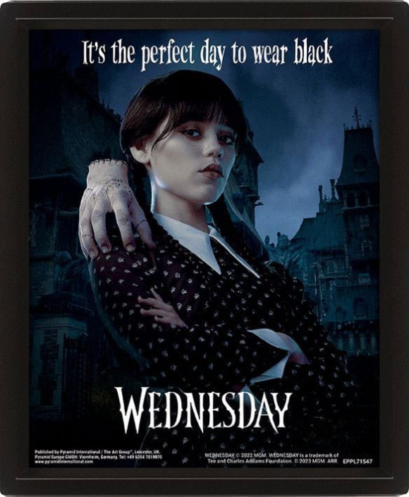 Wednesday 3D-Effekt Poster im Rahmen Perfect Day 26 x 20 cm