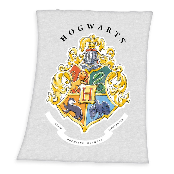 Harry Potter Fleecedecke Hogwarts 130 x 160 cm