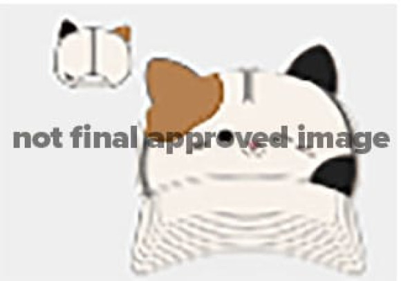 Squishmallows Baseball Cap Cameron Novelty