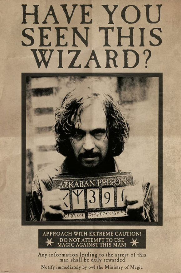Harry Potter Poster Set Wanted Sirius 61 x 91 cm (4)