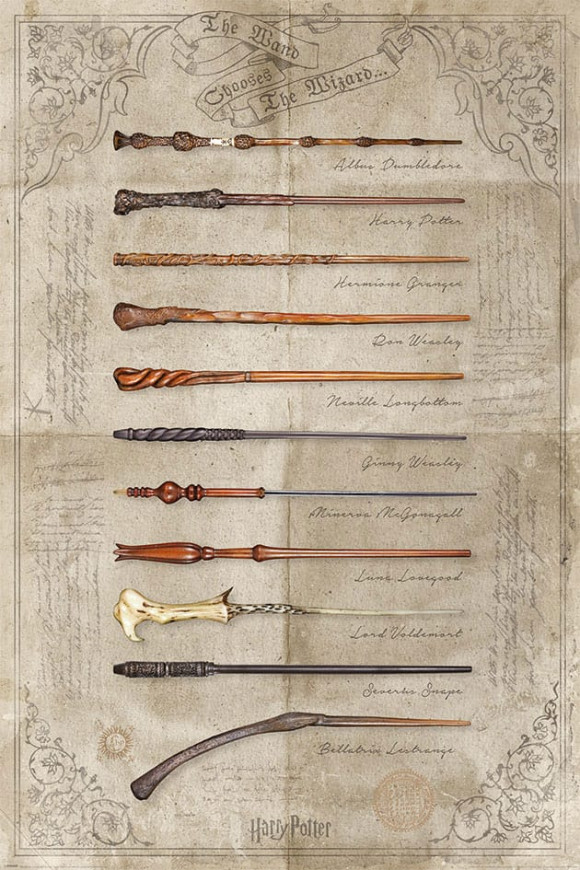 Harry Potter Poster Set The Wand chooses the Wizzard 61 x 91 cm (4)