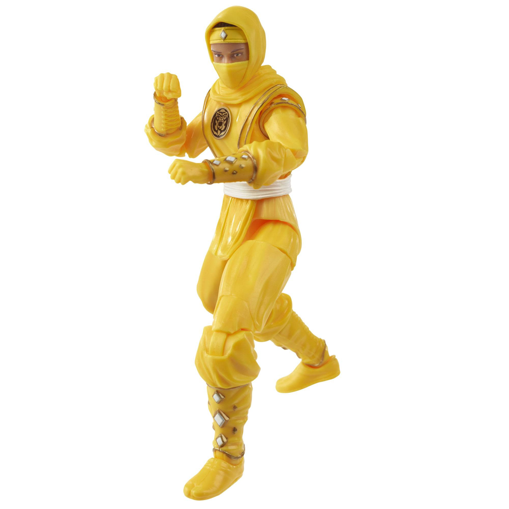 Power Rangers Lightning Collection Action Figure | Mighty Morphin