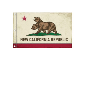 Fallout Canvas Banner NCR
