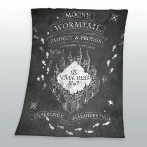 Harry Potter Fleecedecke 12 x 28 cm