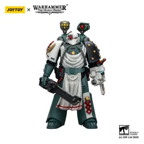 Warhammer 40,000: Sons of Horus Actionfigur Legion Apothecary 12 cm