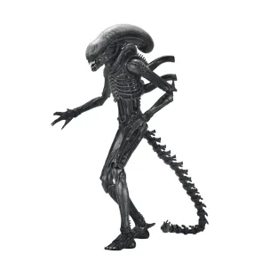 Alien: Romulus Actionfigur Ultimate Xenomorph XX121 18 cm