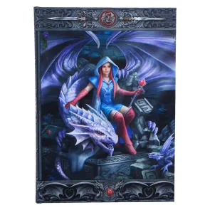 Anne Stokes Notizbuch Dragon Mage A5 18 cm