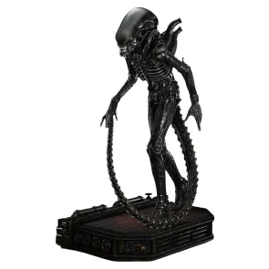 Alien (Film) Museum Masterline XL Statue 1/3 Big Chap Xenomorph Close Up Shot Ver. Deluxe Version 100 cm