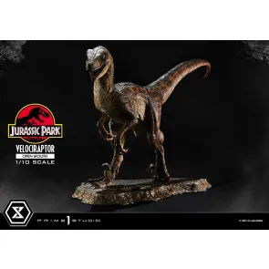 Jurassic Park Prime Collectibles Statue 1/10 Velociraptor Open Mouth 19 cm