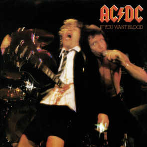 AC/DC Rock Saws Puzzle If You Want Blood (500 Teile)