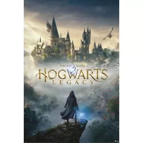 Hogwarts Legacy Poster Set Wizarding World Universe 61 x 91 cm (5)