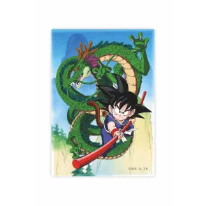 Dragon Ball Magnet Shenron und Goku