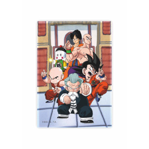Dragon Ball Magnet Tournament