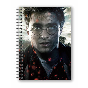 Harry Potter Notizbuch mit 3D-Effekt Harry Potter Face
