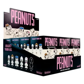 Peanuts ReAction Actionfiguren Snoopy's Siblings Wave 10 Blind Box 10 cm Display (12)