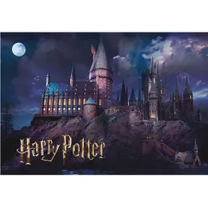 Harry Potter Puzzle Hogwarts (50 Teile)