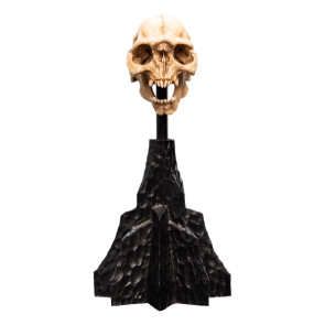 Herr der Ringe Mini Statue Skull of a Moria Orc 13 cm