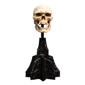 Herr der Ringe Mini Statue Skull of a Mordor Orc 14 cm