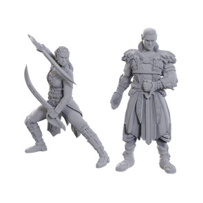 D&D Nolzur's Marvelous Miniatures Miniatur unbemalt Jaheira & Halsin