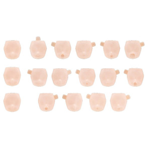 Megami Device M.S.G. Zubehör-Set für Plastic Model Kits 1/1 10 Face Set Puni Mofu 01 Skin Color C