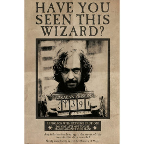 Harry Potter Poster Set Wanted Sirius 61 x 91 cm (4)